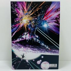 METAL BUILD ZGMF-X42S デスティニーガンダムフルパッケージ - メルカリ