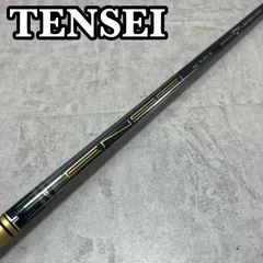 2026年最新】TENSEI 55の人気アイテム - メルカリ