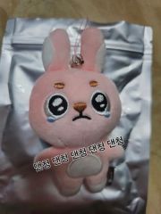 DAY6 デニマルズ SECRET MINI PLUSH ウォンピル コンプ - メルカリ
