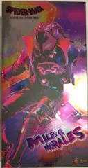 HOTTOYS MOVIE MASTERPIECE MILES G MORALESのサムネイル