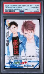 PSA10】シリアル200番❗️ハイキュー!! バボカ! 日向翔陽 サイン 極