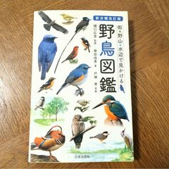 初版・帯付】ファイブスター物語 16巻 永野護 FSS - メルカリ