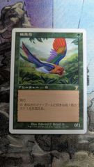 MTG 極楽鳥 第7版 日本語版 マジックザギャザリング - メルカリ