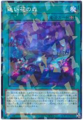 [중고] 유희왕 OCG 듀얼 몬스터즈 헤매는 꽃의 숲 DBGC DBGC-JP034 노멀 병렬