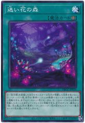 [중고] 유희왕 OCG 듀얼 몬스터즈 헤매는 꽃의 숲 DBGC DBGC-JP034