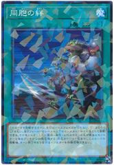 [중고] 유희왕 OCG 듀얼 몬스터즈 동포의 유대 DBGC DBGC-JP041 노멀 병렬