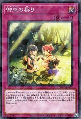 [중고] 유희왕 OCG 듀얼 몬스터즈 오무의 계승 DBAD DBAD-JP035 노멀 패러렐