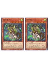 [중고] 유희왕 OCG 듀얼 몬스터즈 성진룡 팬 DBJH DBJH-JP003 2장 세트
