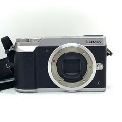 2026年最新】dmc-gx7mk2k 標準ズームレンズキットの人気アイテム