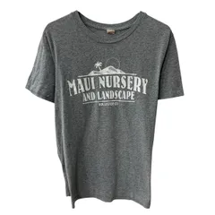 90s Hollister 半袖 プリントTシャツ XL グレー ホリスター プルオーバー 90年代 両面プリント コットンポリ カットソー 夏物 a806-7562のサムネイル