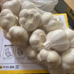 青森県産 生にんにく Mサイズ 約1kg　福地ホワイト六片 ニンニクのサムネイル