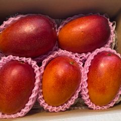 宮崎完熟マンゴー 訳あり 11玉 約4.1kg- メルカリ