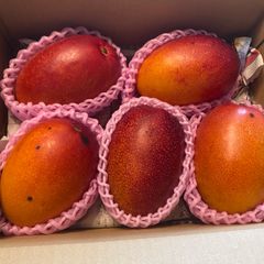 宮崎完熟マンゴー 訳あり 11玉 約4.1kg- メルカリ ⑥【訳あり】宮崎完熟