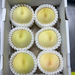 数量限定！注文順収穫！自然肥料のみ！こだわりの清水白桃　大玉 数量限定！注文順収穫！自然肥料のみ！こだわりの清水白桃 大玉 - メルカリ