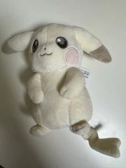 旧裏 完美品 ピジョット プロモ サザンアイランド 絵 ミュウ・コンパン