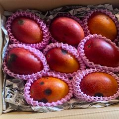 訳あり】宮崎完熟マンゴー 13玉 約4.1kg - メルカリ