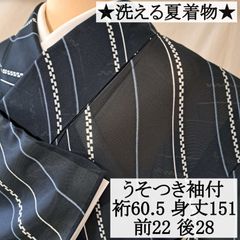 洗える夏着物・絽・小紋】うそつき袖付き 黒 斜めライン 化繊 ろ03M01a
