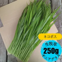 【ネコポス】生牧草 ギニアグラス 250gのサムネイル