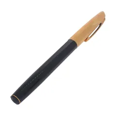 WATERMAN/ウォーターマン　万年筆　樹脂×ペン先18K //j241-10のサムネイル