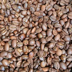 【お試し】自家焙煎コーヒー豆 グアテマラ 中深煎り 50g（約5杯分）おトクな簡易包装のサムネイル