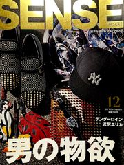 絶版！ SENSE センス TENDERLOIN テンダーロイン トイプレーン - メルカリ