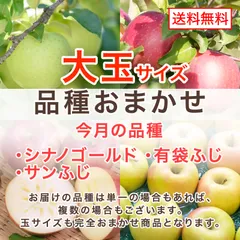 青森県産 びっくり大玉りんご 10kg 家庭用 訳あり 10キロ 産地直送 青森 りんご ワケアリのサムネイル