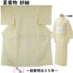 夏物 絽 訪問着 茶屋辻模様 橘紋 極薄いオイスターホワイト色系 M