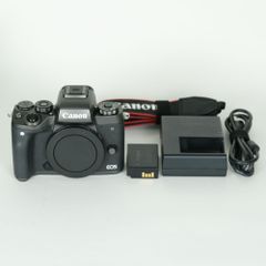 パナソニック LUMIXDC-G100DWデジタル一眼レフレンズキットおまけ付き
