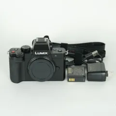 2026年最新】LUMIX DC-G100Dの人気アイテム - メルカリ