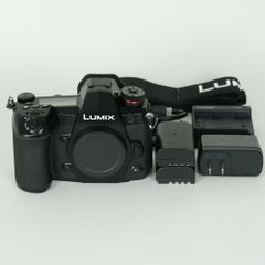 LUMIX GH5 ボディ 美品 バッテリー2個・ケージ付 動作確認済み LUMIX GH5 本体 バッテリー2つケージ ハンドル 付き v-Log解放 - メルカリ