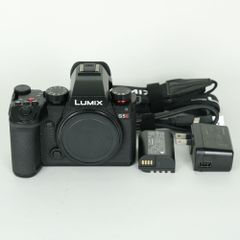 美品 LUMIX S5Ⅱ バッテリー2個と純正チャージャー、ケージなど - メルカリ