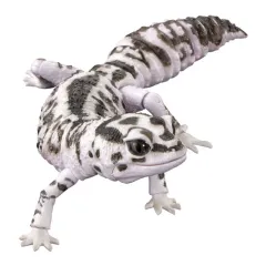 【中古】トレーディングフィギュア ニシアフリカトカゲモドキ(オレオ) 「いきもの大図鑑アドバンス SELECTED EDITION 02」のサムネイル