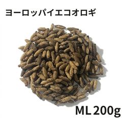 冷凍コオロギ Lサイズ 600g 爬虫類 両生類 小動物 アロワナ フトアゴ等