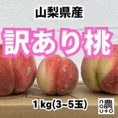 桃 もも 山梨 果物 (14日以内発送)(値下げ2980円→2280円) 訳あり 1kg (3~5玉) 山梨県産 品種おまかせ クール便 白桃 もも 家庭用 母の日 父の日 フルーツ 果物 momo あかつき 白鳳 川中島 一宮 なつっこ まどか ワッサーのサムネイル