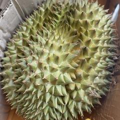即発送】ベトナム産ドリアン 2.1-2.4kg - メルカリ