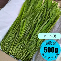 【クール便発送】生牧草 ギニアグラス 500gのサムネイル
