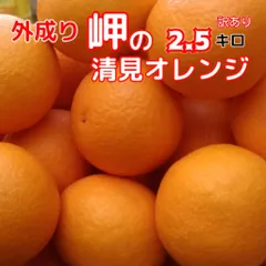 外成り岬清見オレンジ　2.5キロ　不揃い　訳あり家庭用※なくなり次第終了【※チルド発送となります最終発送】　　北海道、東北、沖縄のお客様別途送料ですのサムネイル