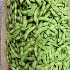 丹波産　黒枝豆　訳あり品のサムネイル