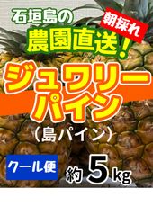 大きさ個数お任せ】石垣島産 朝採れ ジュワリーパイン 島パイン 約5kg