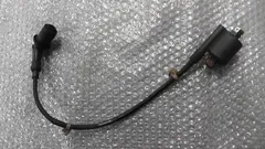 リード110　JF19-1181xxx　の　イグニッションコイル:#1782956217のサムネイル