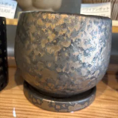 グリントブロンズ　鉢のサムネイル