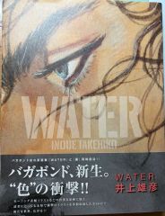 バガボンド画集 WATERと墨 【初版本】2冊セット - メルカリ