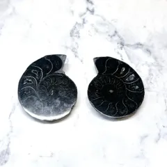 【E100417】ブラックアンモナイト 内部 アンモナイト 黒い マダガスカル 赤鉄鉱 磁赤鉄鉱 化石のサムネイル
