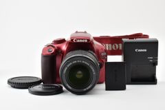 ☆美品☆ 《ショット数 57020回》 ニコン NIKON D500 ボディ 現状品