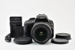 ☆美品☆ 《ショット数 57020回》 ニコン NIKON D500 ボディ 現状品
