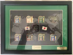 2002 FIFA ワールドカップ 日韓大会 公式 ピンバッジコレクション 額装