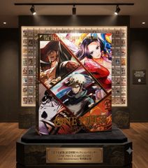 ⭐️【PSA10】ナミ R パラレル OP01-016 25周年プレミアムカード