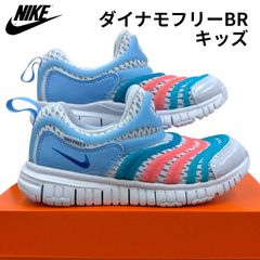 ナイキ ダイナモ フリーBR 2 PS キッズ IV0523  001 フットボールグレー/レーサーブルー