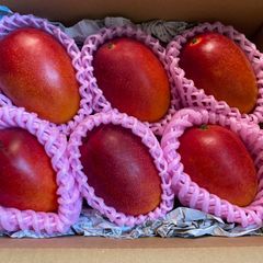 訳あり宮崎完熟マンゴー6玉約2.6kg！夕採れ即発送 - メルカリ