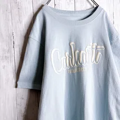 【人気カラー】CARHARTT T-shirt カーハート ライトブルー 立体ロゴ ビッグロゴ ワンポイント オーバーサイズ 古着 半袖Tシャツ #F4826のサムネイル